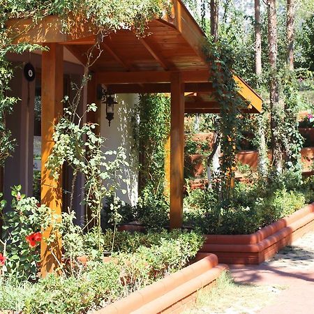 Boncuklu Otel Ölüdeniz Eksteriør billede