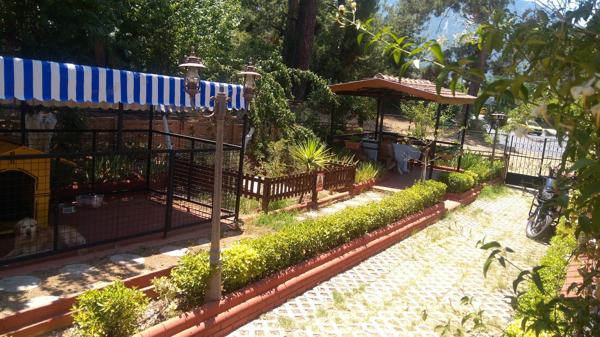 Boncuklu Otel Ölüdeniz Eksteriør billede